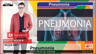 Pneumonia  Pathophysiology [upl. by Cirri]