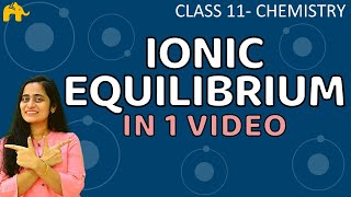 Ionic Equilibrium Chemistry Class 11 Chapter One Shot CBSE NEET JEE [upl. by Peddada]