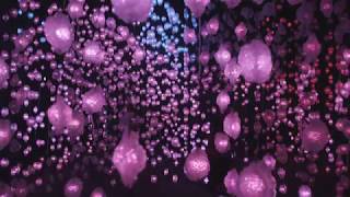 Pipilotti Rist  PIXEL FOREST [upl. by Maxa]