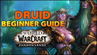 Druid Beginner Guide  Overview amp Builds for ALL Specs WoW Shadowlands [upl. by Dara]