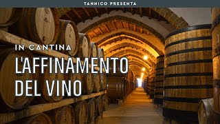 Laffinamento del vino  Tannico Flying School [upl. by Urata]