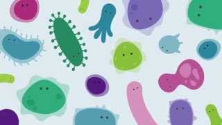 What is a microbiome [upl. by Pavier]