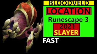 Runescape 3 Bloodveld Location amp Guide Slayer task rs3 Updated 2021 [upl. by Bywaters]