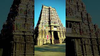 Top 10 Temple Gopuram [upl. by Llevaj]