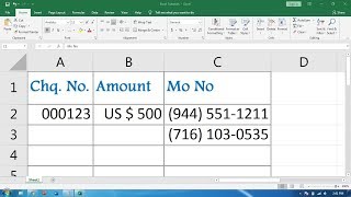 How to Apply Phone Number Format in Excel [upl. by Berga]