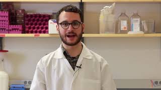 PCR Method Video [upl. by Fredenburg]