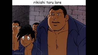 rikiishi toru lore [upl. by Nemzzaj]