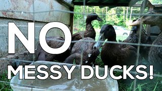 quotNo Messy Ducksquot  How to Raise CLEAN Ducks [upl. by Putnam]