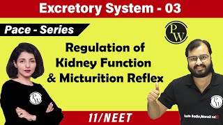 Excretory System 03  Regulation Of Kidney Function  Micturition Reflex  Class 11  NEET [upl. by Giselle709]