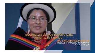 Diversidad étnica y cultural en América Latina [upl. by Aurea]