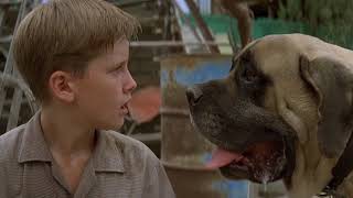 the sandlot 1993 the beast trapped SCENE [upl. by Salomone881]