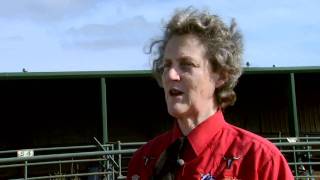 Animal Behavior with Temple Grandin  Part 1 [upl. by Batty359]