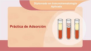 Práctica de Adsorción [upl. by Ahsiekim]