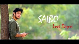 Saibo Best Gujrati love Song  Love Dayri 2017  Part 27 [upl. by Ohcirej647]