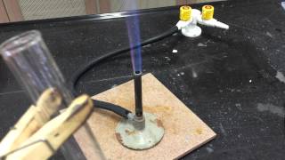 Cation Test Ammonium Ions [upl. by Varien551]