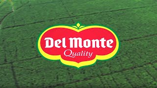 Fresh Del Monte Produce Inc Corporate Video [upl. by Rainger]