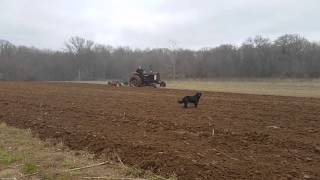 Farmall 806 pulling a 5 bottom plow [upl. by Manaker429]