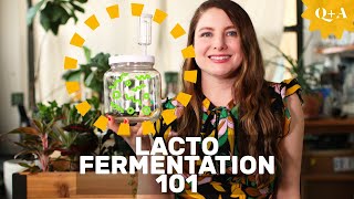 Fermentation 101 Guide to Lacto Fermenting Foods [upl. by Durning466]