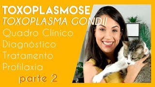 Toxoplasmose toxoplasma gondii  Parte 2  PARASITOLOGIA 4 [upl. by Aohsoj]