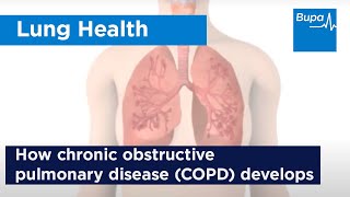 Systemic pathology 16  respiratory system 2  chronic obstructive pulmonary disease DRSAMEH GHAZY [upl. by Radbun]