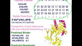 Bioinformatics practical introduction [upl. by Otipaga]