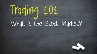 Trading 101 What is the Stock Market [upl. by Kinnon]