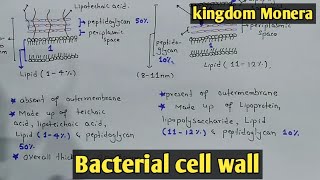 Bacteria cell wall Structure And Functions  Gram Positive amp Negative Call Wall [upl. by Alisia]