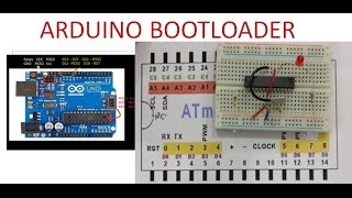 Arduino BOOTLOADER on ATMEGA328 IC [upl. by Dupuis]