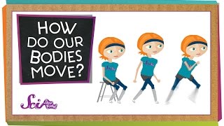 How Do Our Bodies Move [upl. by Lunnete]