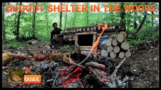 Building a Bushcraft Dugout Shelter in 24 hours dugout house [upl. by Halbert511]