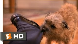 Theres Something About Mary 35 Movie CLIP  Dog Fight 1998 HD [upl. by Hgalehs]