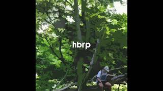 Yung Lean  Ginseng Strip 2002 hbrp Edit [upl. by Egres]