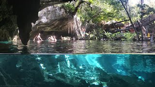 Cenotes of Tulum Mexico  Cancun Snorkeling [upl. by Gilder]