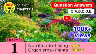 🍎Nutrition in Living OrganismsPlants  Dav Class 7 Science Chapter 1 Question Answer  QABCDE [upl. by Sal921]