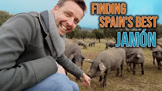 Where Does Spains Best Jamón Come From [upl. by Yraek]