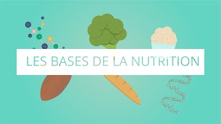 Les bases de la nutrition [upl. by Mathe764]