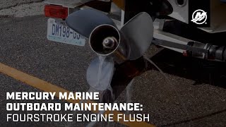 Mercury Marine Outboard Maintenance FourStroke Engine Flush [upl. by Esiocnarf582]