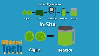 Biodiesel Production Methods [upl. by Innoc]