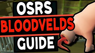 The Ultimate Bloodvelds Guide Old School Runescape [upl. by Einalam416]