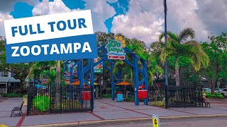 ZooTampa Full Tour [upl. by Nidnal]