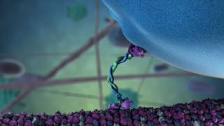 Molecular Motor 4k [upl. by Wiedmann]