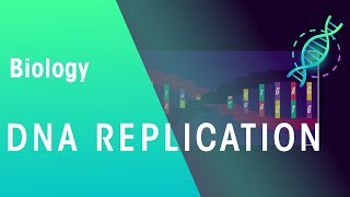 DNA Replication  Genetics  Biology  FuseSchool [upl. by Rubma590]