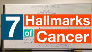 Hallmarks of Cancer  Pathophysiology [upl. by Jacinda]