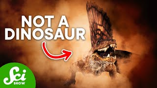 5 Famous Dinosaurs That Arent Actually Dinosaurs [upl. by Aitnyc]