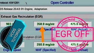 VCDS  EGR Delete [upl. by Weinstock]