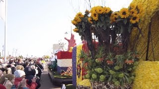 Bloemencorso 2019  Holland [upl. by Ahsenyt]