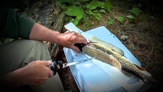 Northern Pike quotYquot Bone Removal  Made Easy [upl. by Kenaz]