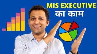 MIS Executive Kya Hota Hai Work Details Roles Salary And Career Info [upl. by Ahtar448]