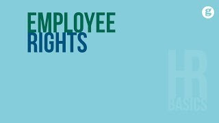 HR Basics Employee Rights [upl. by Ecirtal777]