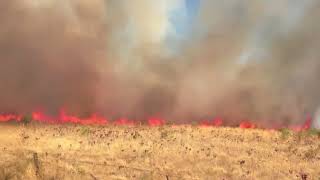 Facts of Fire  Grass Fires 30sec [upl. by Trepur]